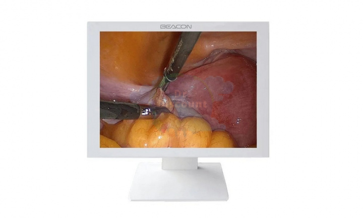 Эндоскопический монитор E2420